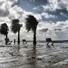 Temporal de Viento