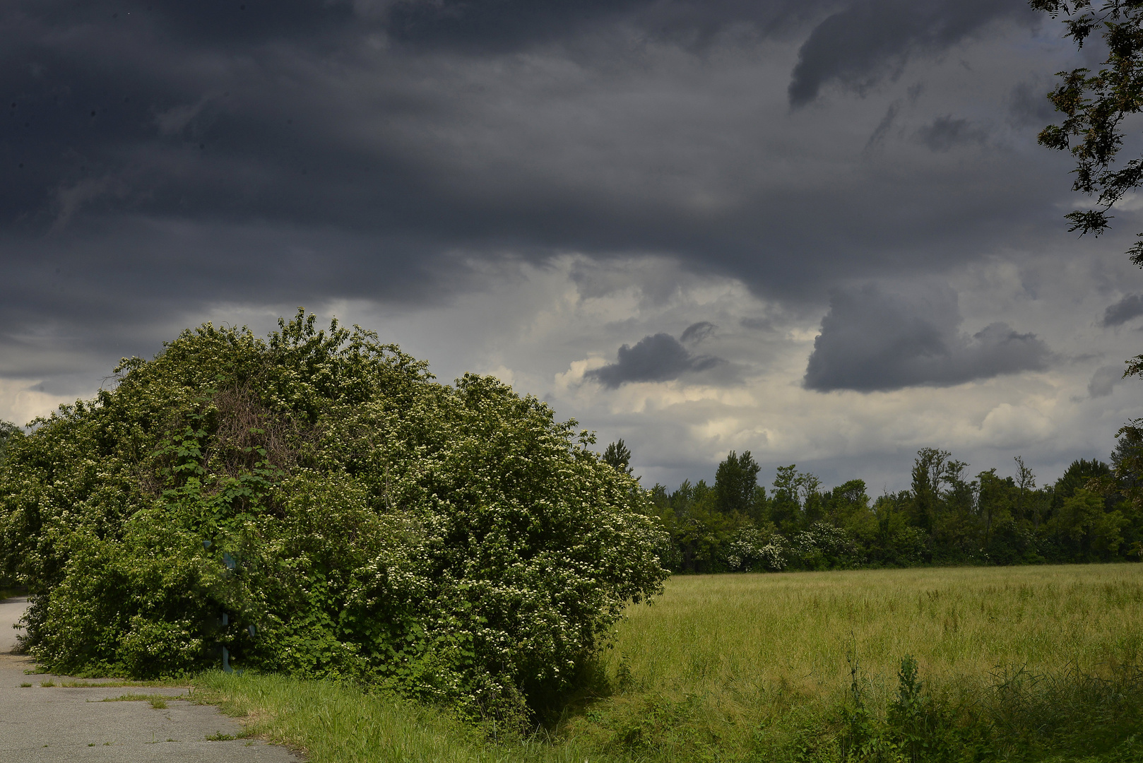 Temporale