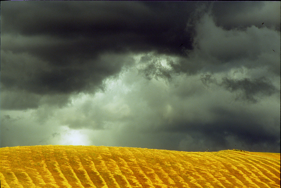 Temporale in arrivo