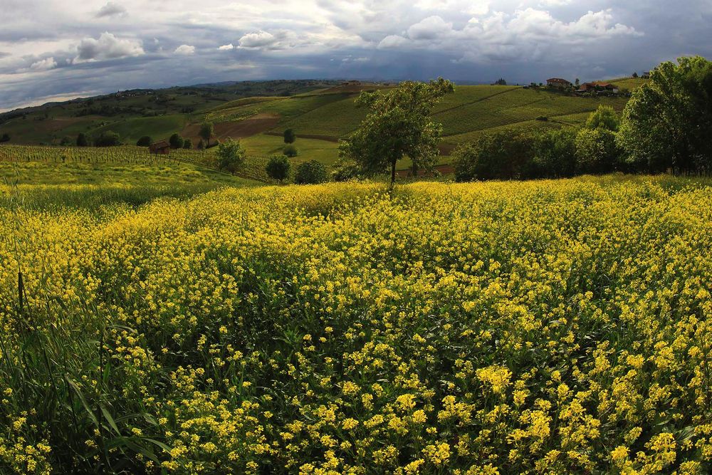 temporale in giallo (2)