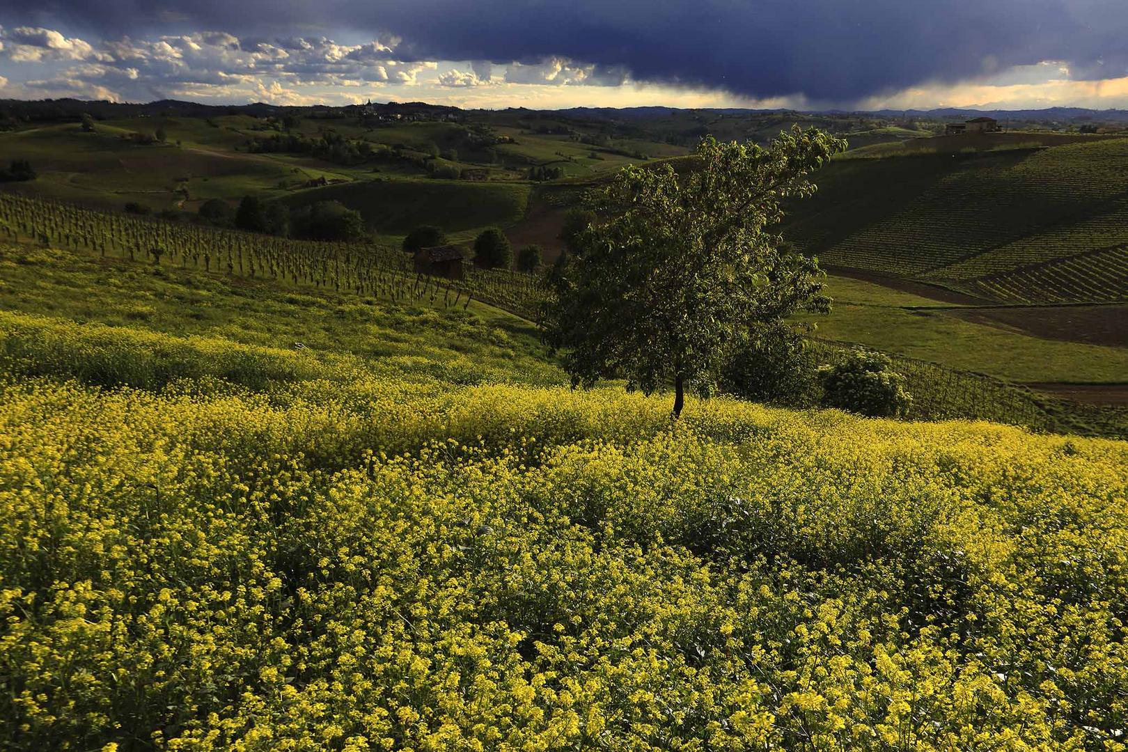 temporale in giallo