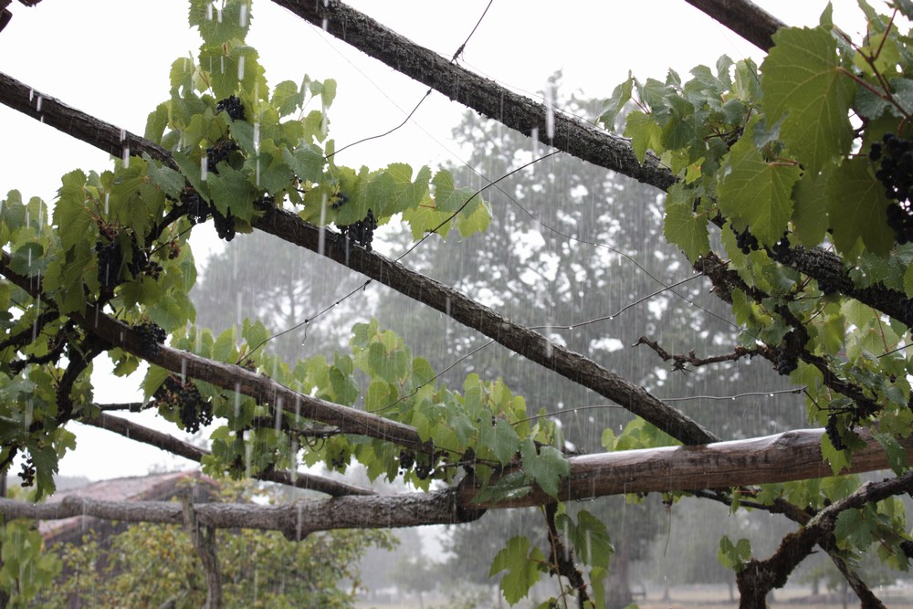 temps de pluie