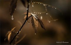 temps de pluie