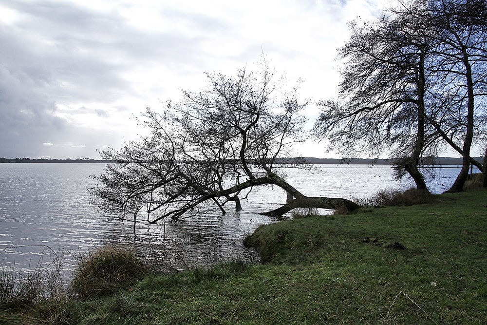 temps gris !