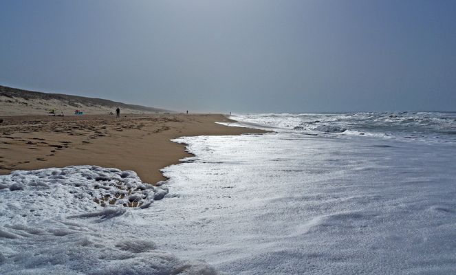 Temps gris sur la côte landaise