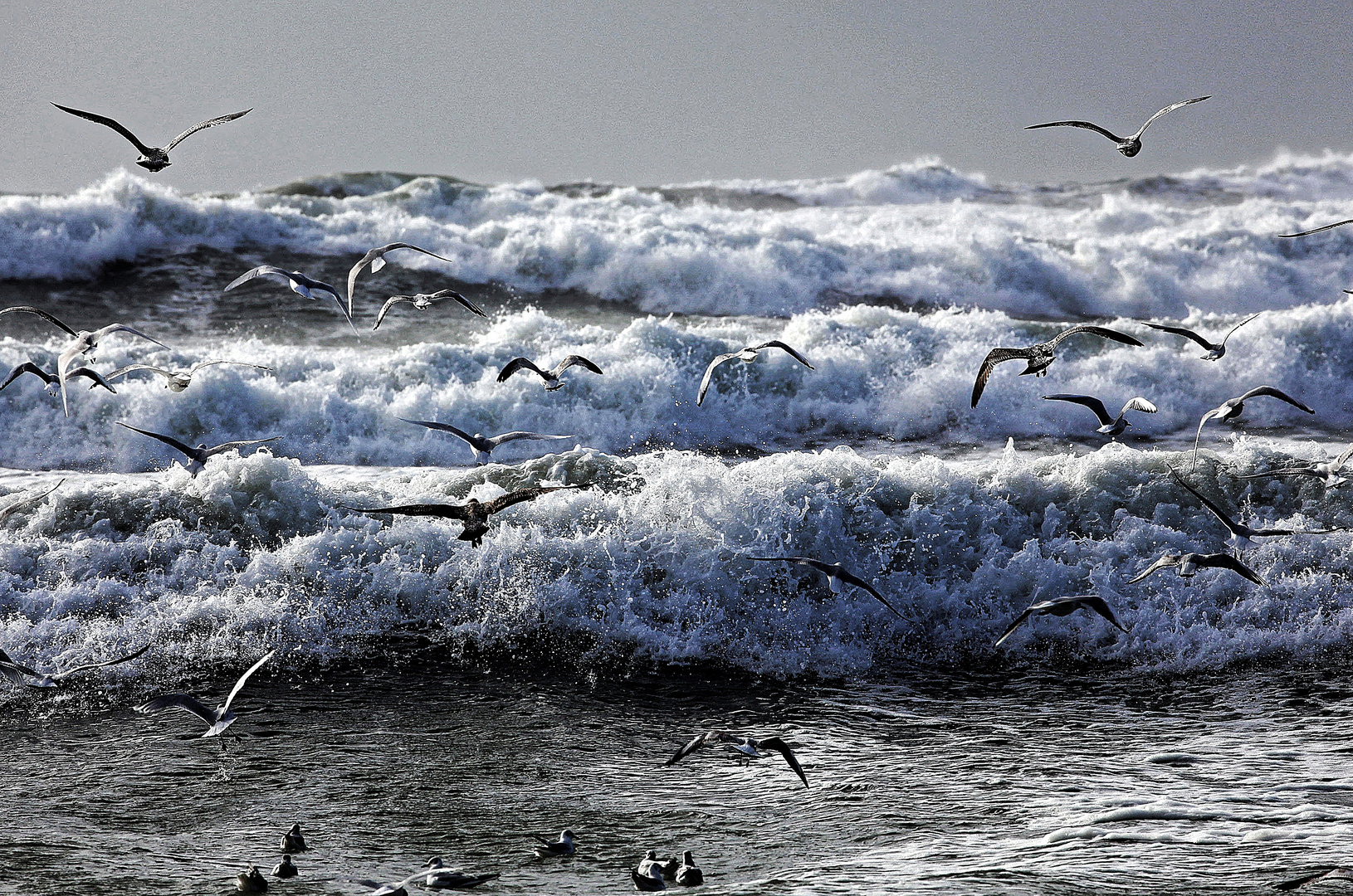 Tempête