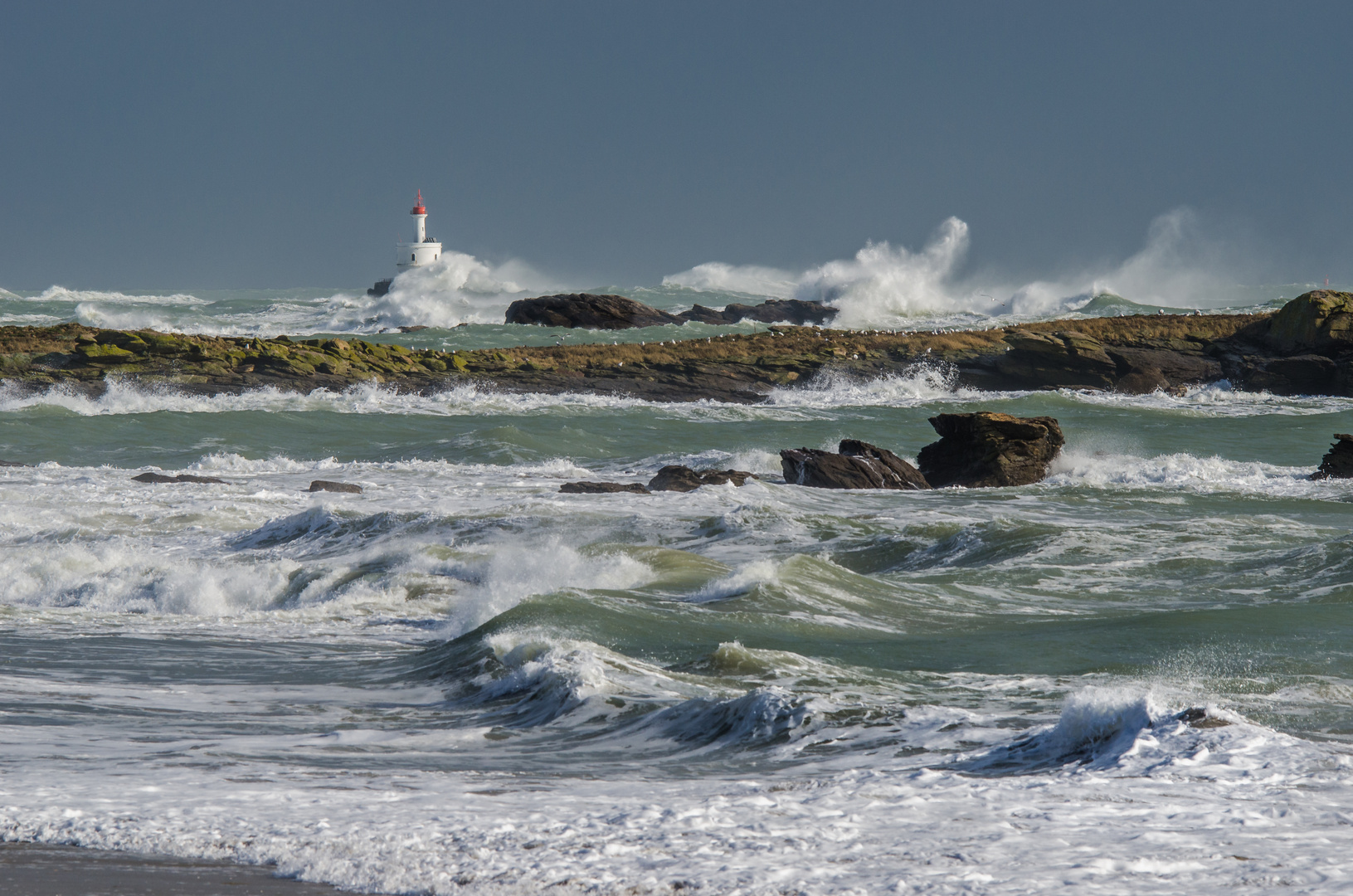 Tempête