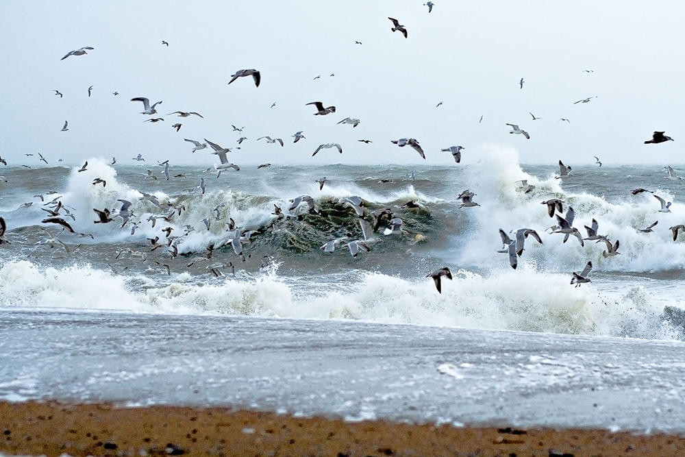 Tempête di bB43 