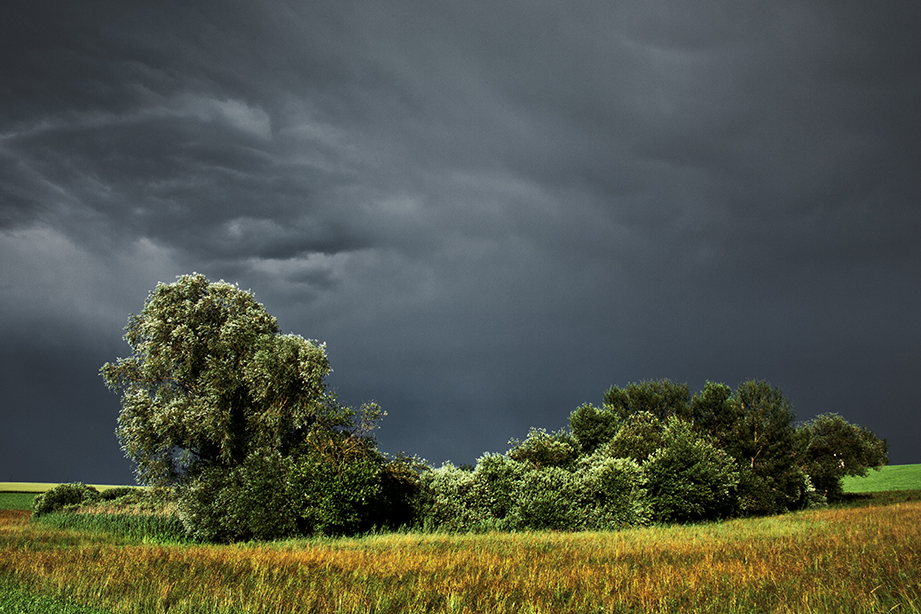 Tempête