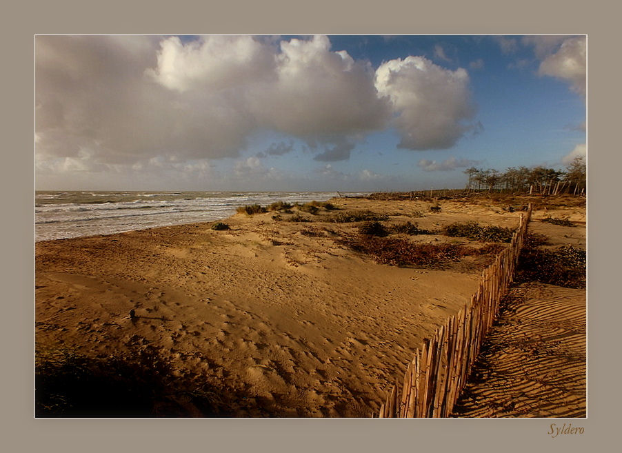 Tempête à Maumusson