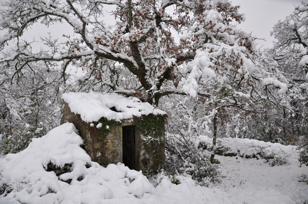 Tempête de neige dans le sud