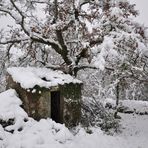 Tempête de neige dans le sud