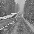 Tempête de Neige en Oregon