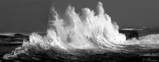 tempête de novembre a lomener von Odette LEFEBVRE