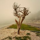 Tempête de sable