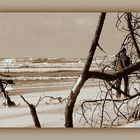 Tempête de sable à Maumusson