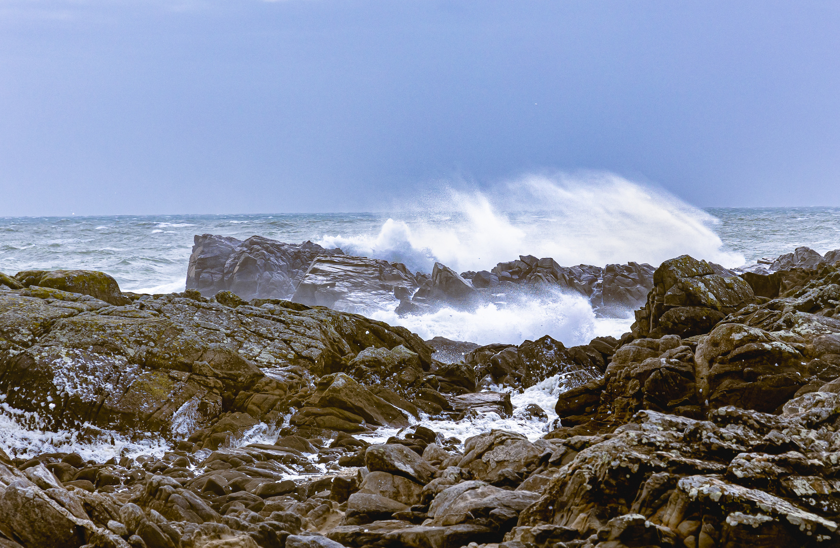 Tempête sur la côte sauvage #1