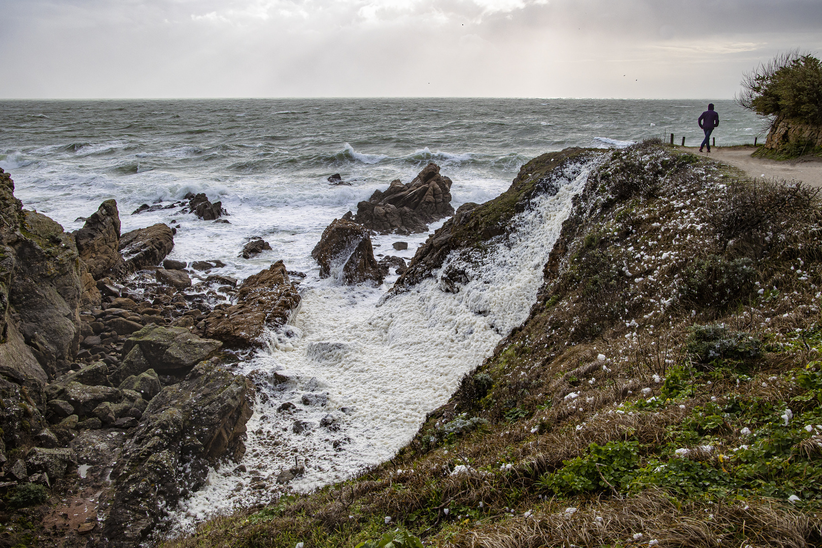 Tempête sur la côte sauvage #3