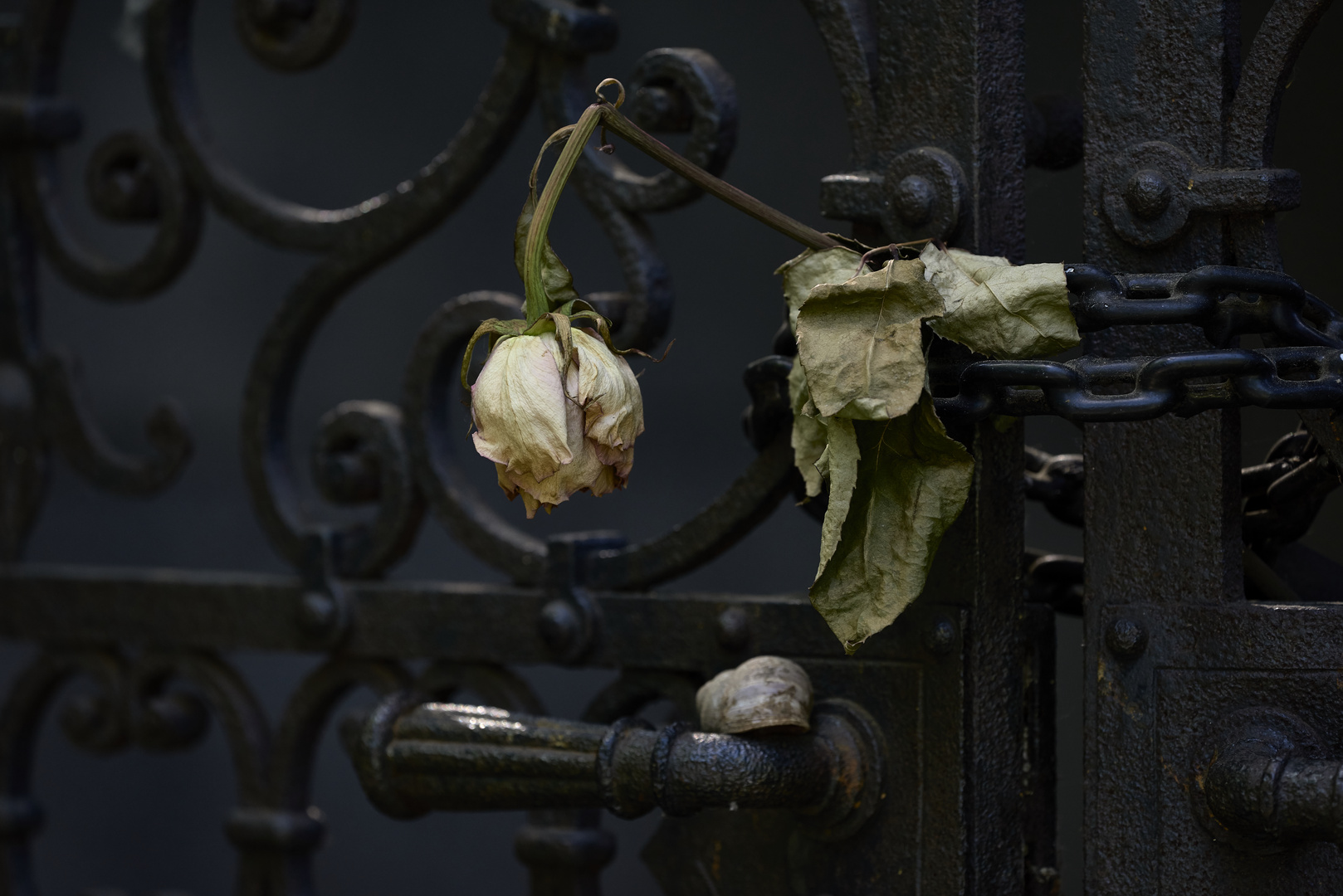 tempus fugit Foto & Bild architektur, europe, Österreich Bilder auf