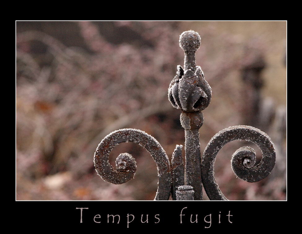 Tempus fugit