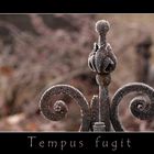 Tempus fugit