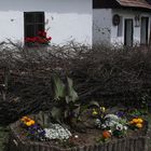 Ten moments in east Hungary: An old farmer's house