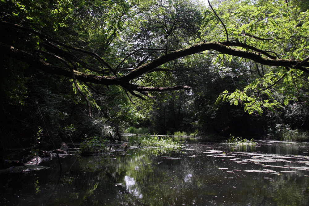 Ten moments in east Hungary: Little brook