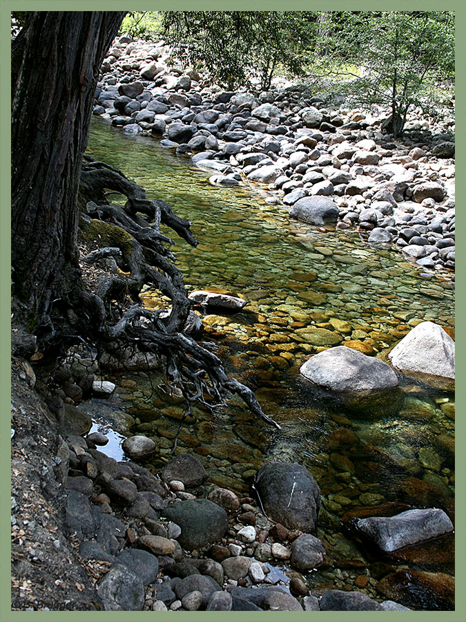 Tenaya Creek