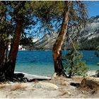 TENAYA LAKE