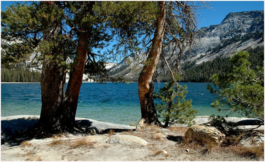 TENAYA LAKE