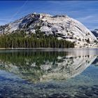 [ Tenaya Lake ]