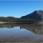 Tenaya Lake II