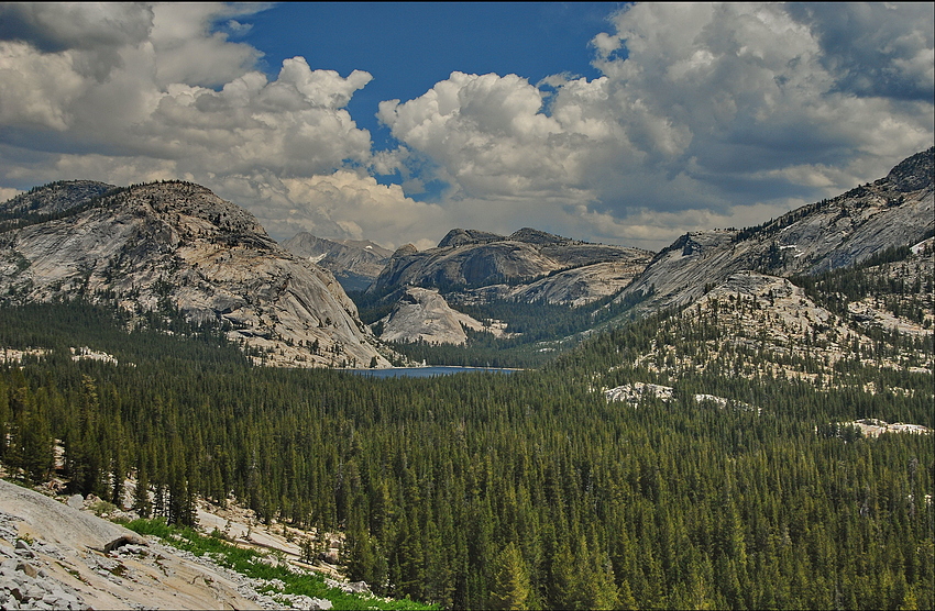 Tenaya Lake - Yosemite N. P.