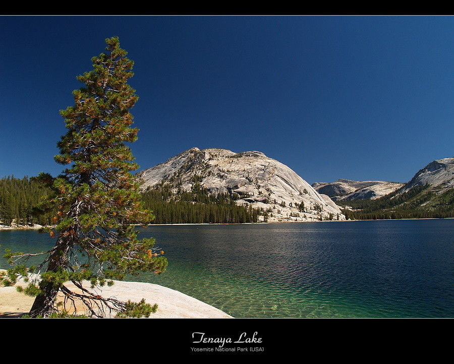 Tenaya Lake - Yosemite National Park (USA)