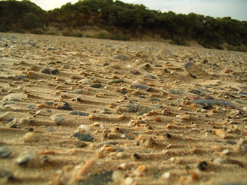 Tenby Beach