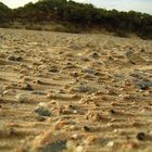 Tenby Beach