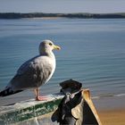 Tenby - North beach