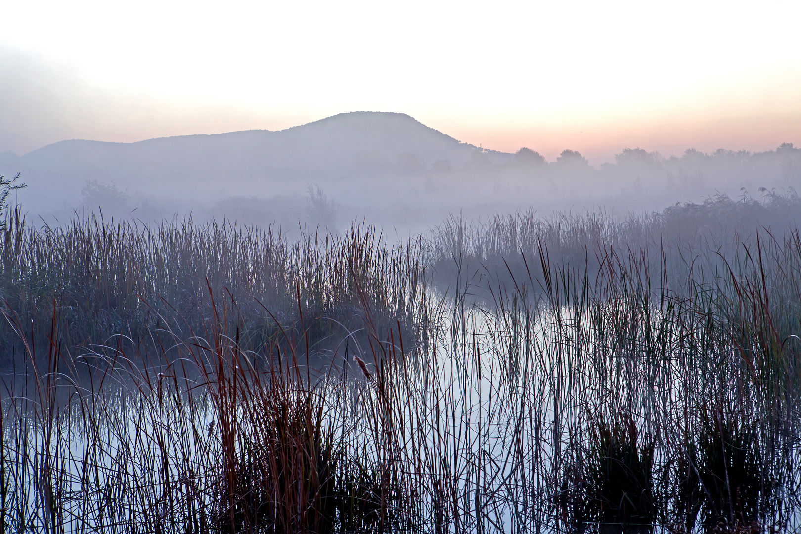 Tendance ... brume ...