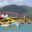 Tenderboote der AIDAmar in Tortola