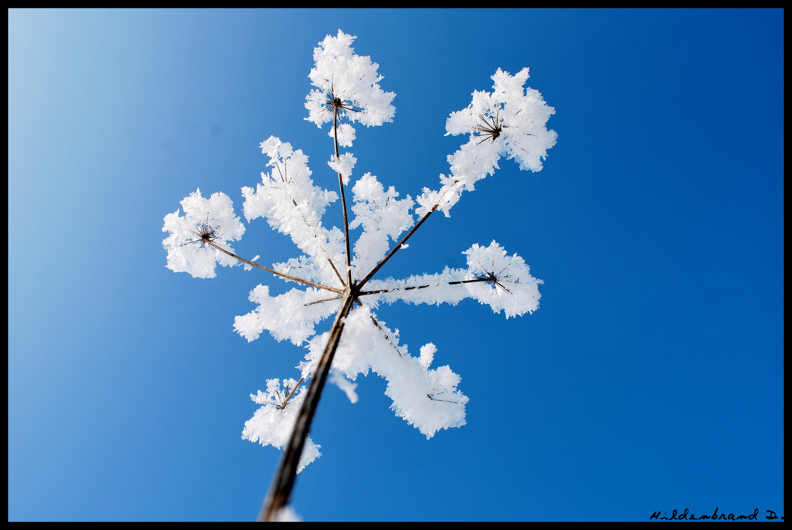 Tendre vers le Ciel