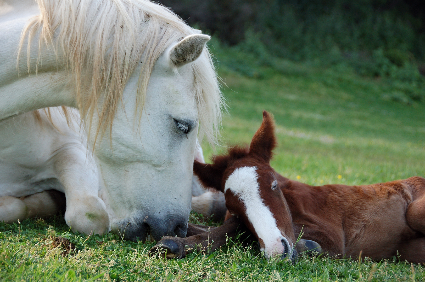 tendresse....