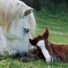 tendresse....