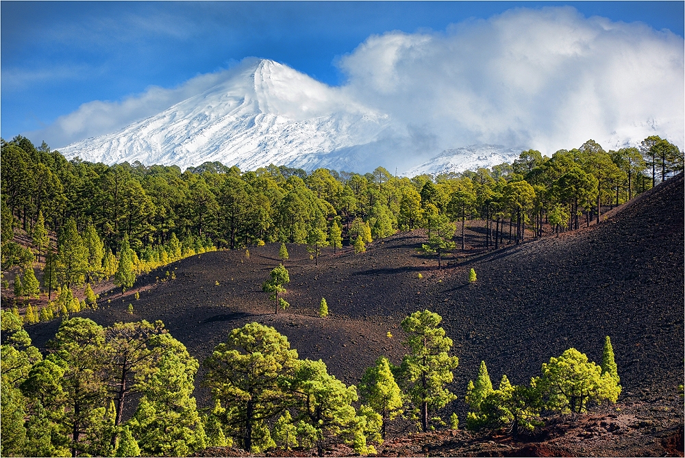 Tenerife after the 2013 December rain