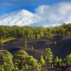 Tenerife after the 2013 December rain