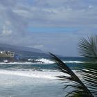 Tenerife Blick nach Los Realejos