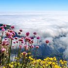 Tenerife, el Teide 2017