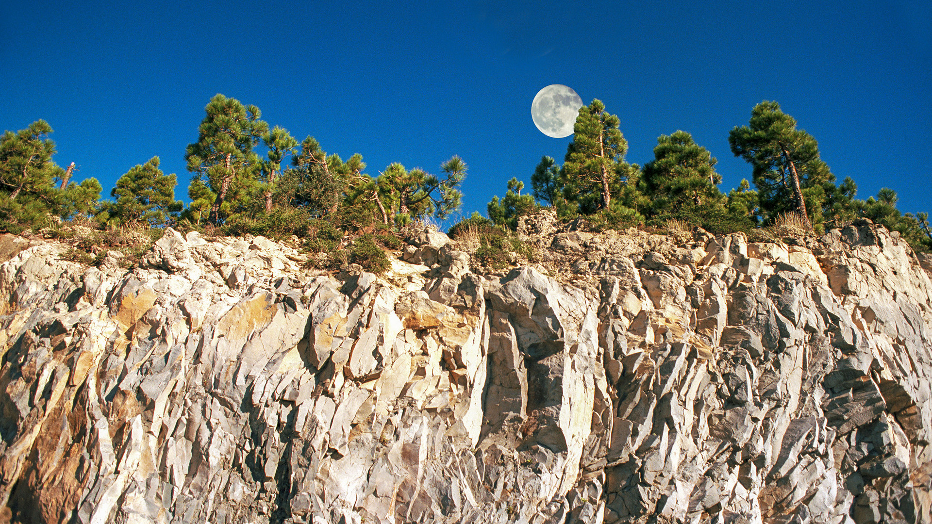 Tenerife - Esperanza - Analoge Doppelbelichtung 1995 Foto ...