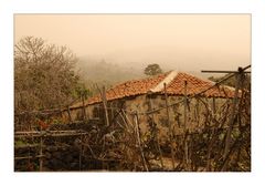 Tenerife - House