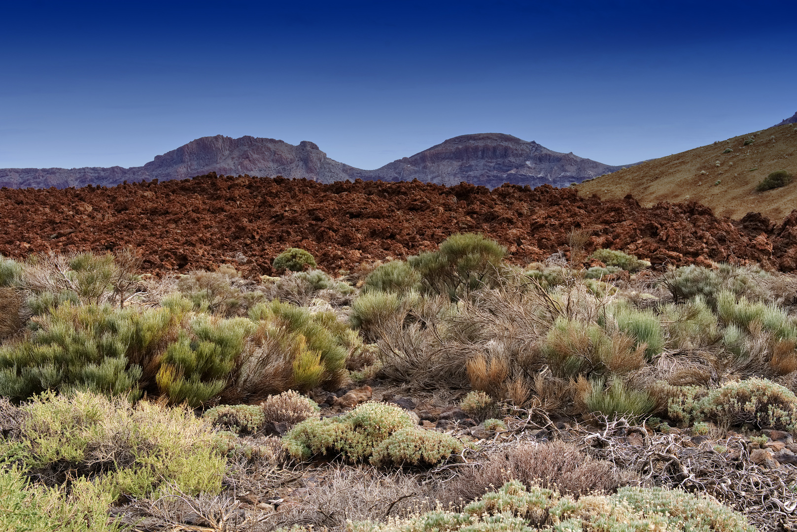 Tenerife Nationalpark 