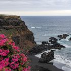 Tenerife Norte - Der schwarze Strand von Bollullu - 2009